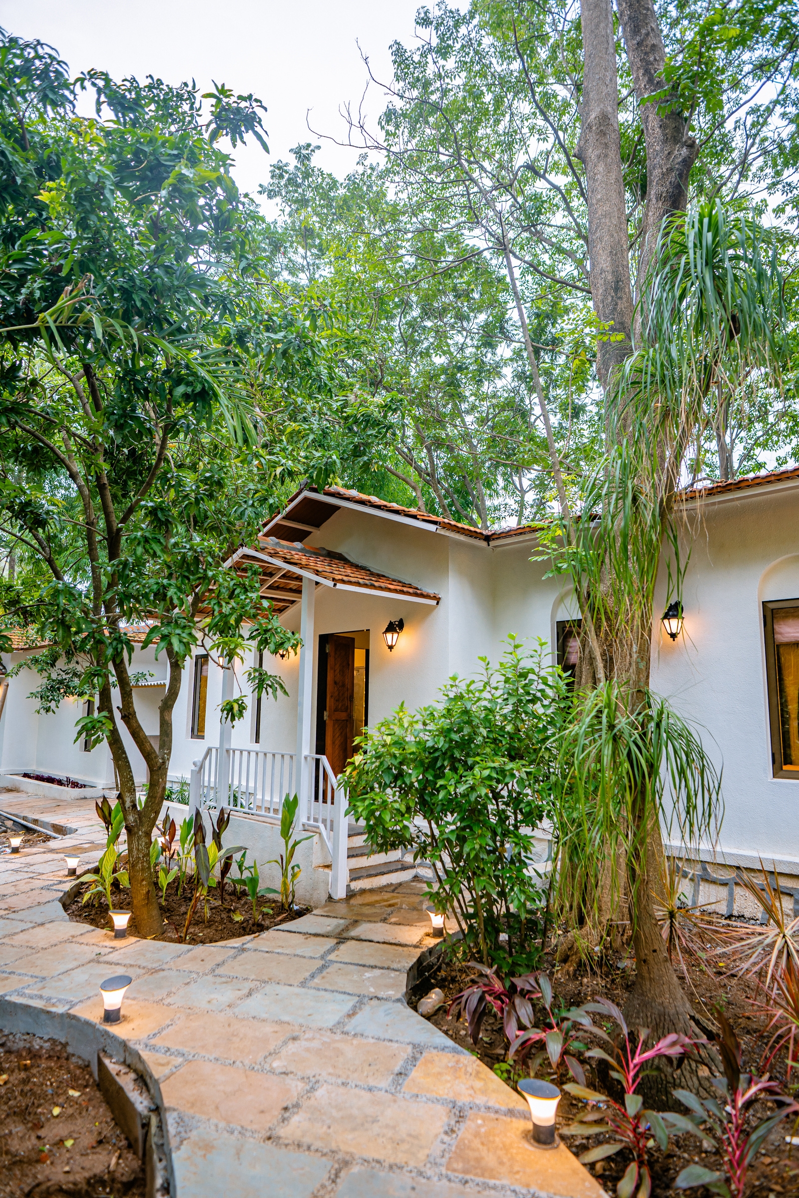 Bonsai Villa